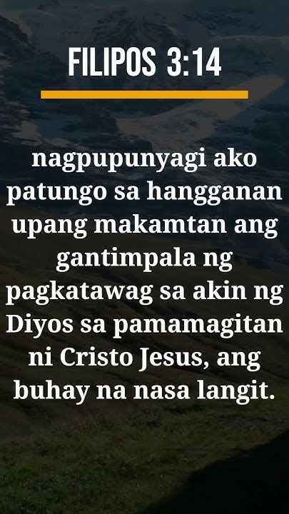 philippians 3:14 meaning tagalog|Filipos 3,Philippians 3 ASND;NIV .